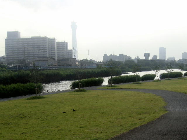 skytree