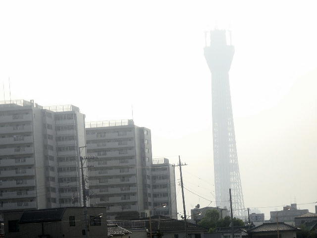 skytree