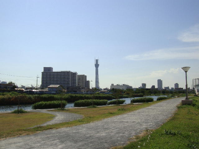 skytree