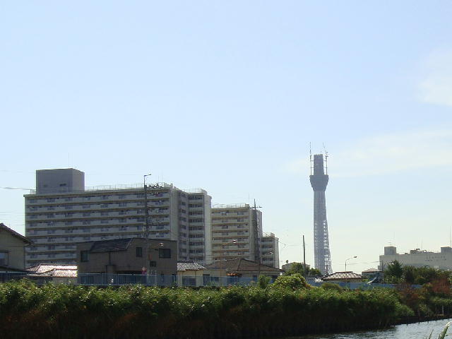 skytree