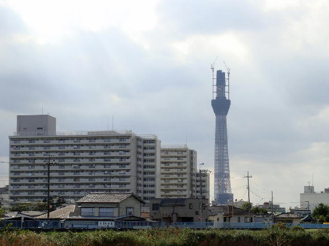 skytree