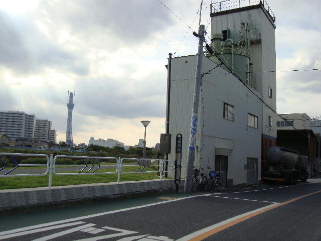 skytree