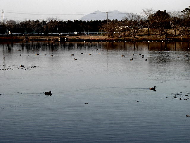 mt. tsukuba